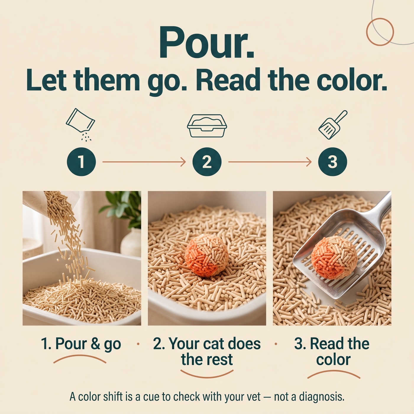How TellTail works in three steps: 1) Pour and go — fill the box like normal; 2) Your cat does the rest — the granules react to urine pH; 3) Read the color — green is the normal range, and a shift toward red or violet means the pH moved outside it.